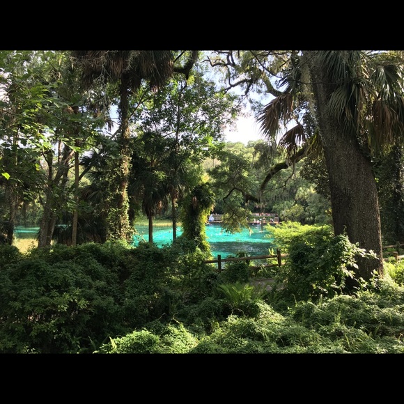 Meet your Posher, Matthew - Picture 1 of 1